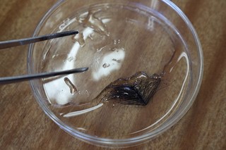 IMG_1446.jpg IMG_1446.jpg