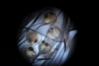 IMG_1454.jpg IMG_1454.jpg