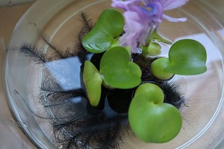 IMG_1463.jpg IMG_1463.jpg