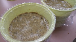 IMG_8942.jpg IMG_8942.jpg